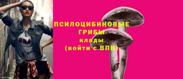 прущие крисы Белоозёрский