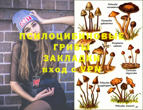 амф Иноземцево